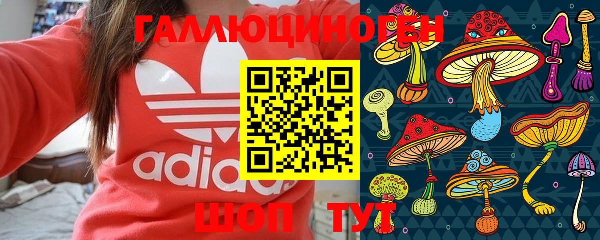 Псилоцибиновые грибы Psilocybe Сызрань