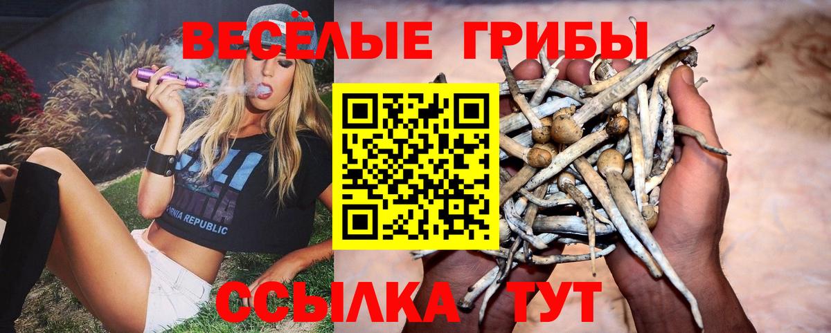 Сызрань  Псилоцибиновые грибы Magic Shrooms  купить   Вход с VPN  Псилоцибиновые грибы ЛСД 